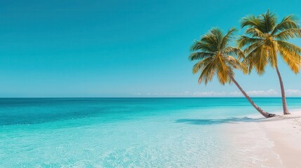 Fototapeta premium A serene tropical beach featuring crystal-clear water and swaying palm trees under a bright blue sky.