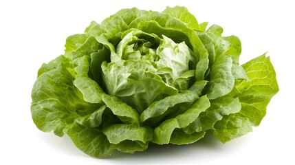 Obraz premium Fresh Whole Iceberg Lettuce Head on White Background with Copy Space