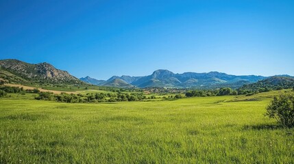 Fototapeta premium A lush green meadow with mountains in the distance, a peaceful nature background under a clear blue sky