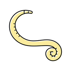 pinworm parasite color icon vector. pinworm parasite sign. isolated symbol illustration