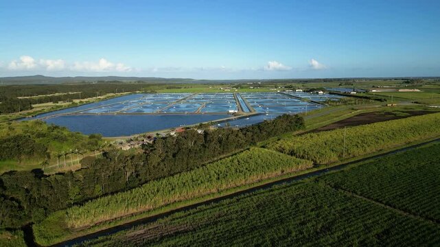 Rising aerial views over sugar cane farms and prawn farms in South East Queensland, Australia