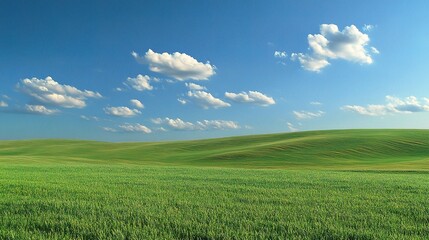 Naklejka premium Serene Blue Sky Over Lush Green Landscape with White Clouds