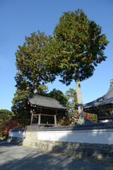 南禅寺　南禅僧堂の鐘楼　京都市左京区