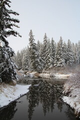 Creek In The Winter Forest, Whitemud Park, Edmonton, Alberta