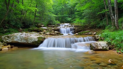 Serene waterfall cascading down rocks in lush green forest.