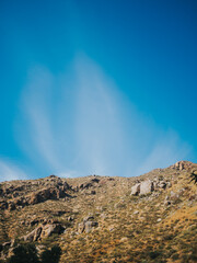 Landscapes in San Carlos