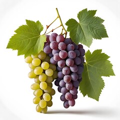 Fototapeta premium grapes isolated on white background