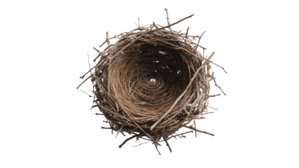 Bird's nest isolated on transparent background
