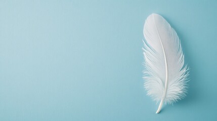 Single white feather on a light blue background.