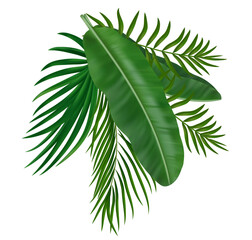 Summer tropical green palm leaves. Exotic botanical design with gorgeous greenery for invitation, banner, poster. Vector illustration