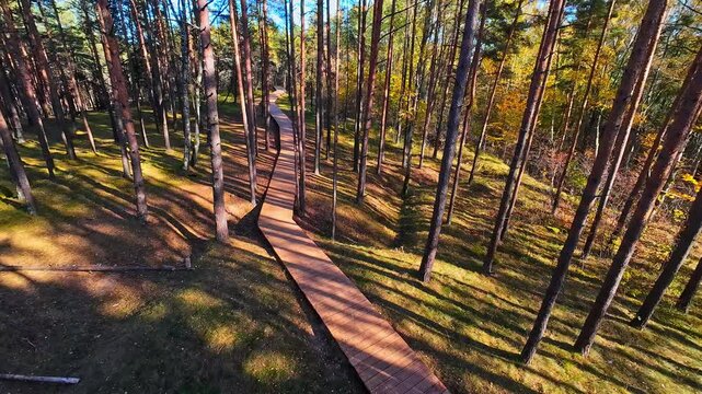 Boardwalk Through Bumbu Hill Firewatch Tower In Riga, Latvia. Aerial Tilt-up Shot