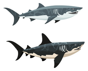 Two Sharks in Minimalist Style Flat Vector Illustration