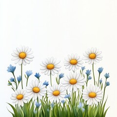 Fototapeta premium Blooming Daisies in Watercolor Style