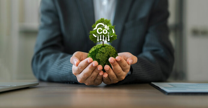 concept of carbon credit reducing carbon emissions Zero net greenhouse gas emissions target Carbon credits to invest in sustainable businesses green climate investment
