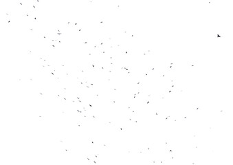 A white background with a lot of black dots scattered all over it