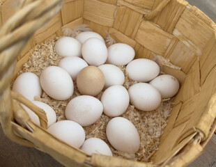 A basket full of eggs with one egg missing