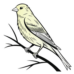 Canary Vector Illustration  Black Design on a Transparent Background