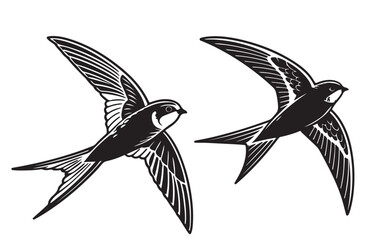 Set of Common Swift Vector Illustrations  Black Design on a Transparent Background