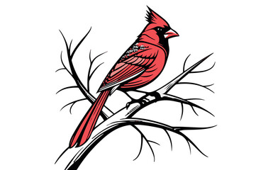 Northern Cardinal Vector Illustration  Black Design on a Transparent Background