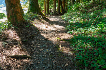 奈良井宿の街道