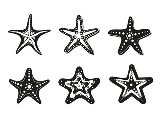Starfish icons set collection in flat style. Sea stars vector illustration on isolated background. Sea animal sign business concept.