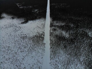 Straight line in winter forest aerial view