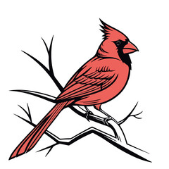 Northern Cardinal Vector Illustration  Black Design on a Transparent Background