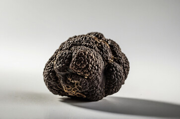 Black Truffle Isolated with Ample Copy Space for Culinary Projects