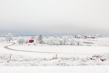Obraz premium Winter landscape view with farmsteads and red barns on a cold winter day