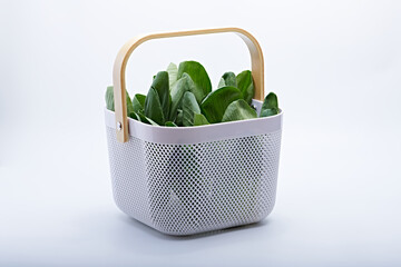 Basket with fresh vegetables and some fruit photographed on a white background