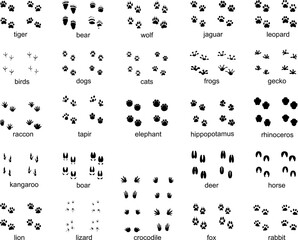 Traces Wild Animals SVG 