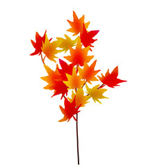紅葉の枝