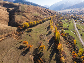 View of autumn landcape with mountains and hills. Fields with yellow and red trees. Vivid natural...