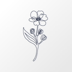 One Continuous Line of a Simple Cherry Flower with Leaves. Hand drawn spring herbs and plants. Abstract floral sketch in one continuous line drawing. Perfect as a logo, tattoo, greeting cards, website