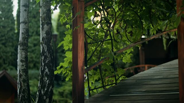 Static shot of nature at a country resort. Beautiful landscape with a wooden bridge over a pond, two birch trees, and a small wooden house in the background. Tranquil and peaceful scene.