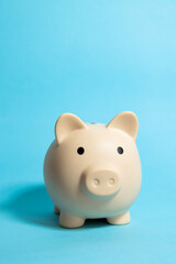 Vertical image of piggy bank on a blue isolated background, savings and finance concept