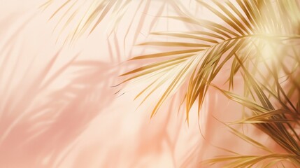 Golden palm leaves cast shadows on a soft pink background.