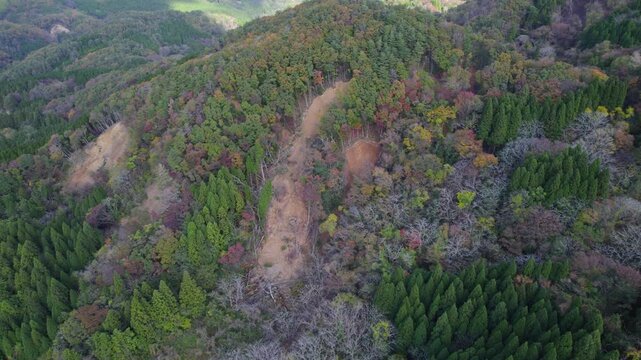 Mountainside where a landslide occurred in Noto Suzu Otani.