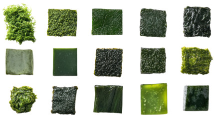 Green Texture Swatches: A vibrant collection of 18 green textured swatches, showcasing a range of organic, natural, and abstract patterns. Perfect for design projects, backgrounds.