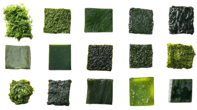 Green Texture Swatches: A vibrant collection of 18 green textured swatches, showcasing a range of organic, natural, and abstract patterns. Perfect for design projects, backgrounds. - Powered by Adobe