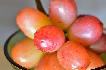 クイーンルージュ