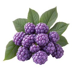 Fototapeta premium Extreme front view of a hyperrealistic bunch of American beautyberries isolated on a white transparent background