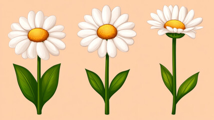 three beautiful daisies on a peach background an illustration of nature's charm