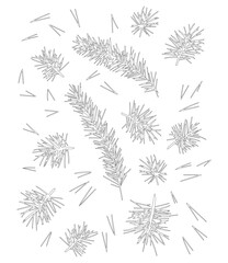 Pine branch with needles, pine needles for winter and Christmas decor. Graphic illustration hand drawn with black ink. Set of isolated objects