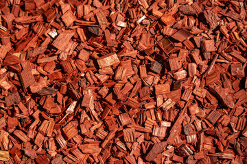 Red lawn chips of different sizes, background texture.