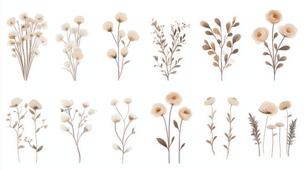 beige and brown watercolor floral illustrations for elegant designs