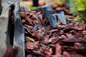 Natural Garden Landscape featuring Stone and Mulch in a beautifully designed outdoor space