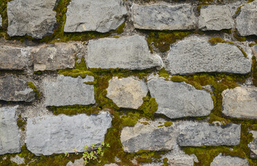 Texture of old stone wall with green moss