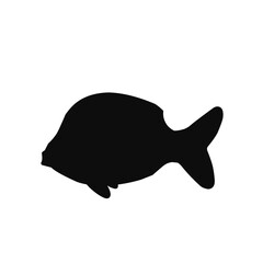 Fish Silhouette Icon 