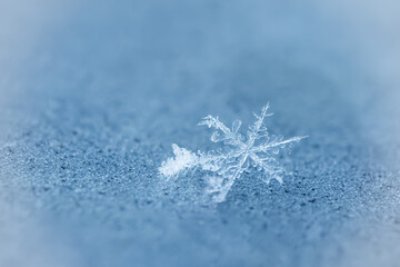 Snowflake